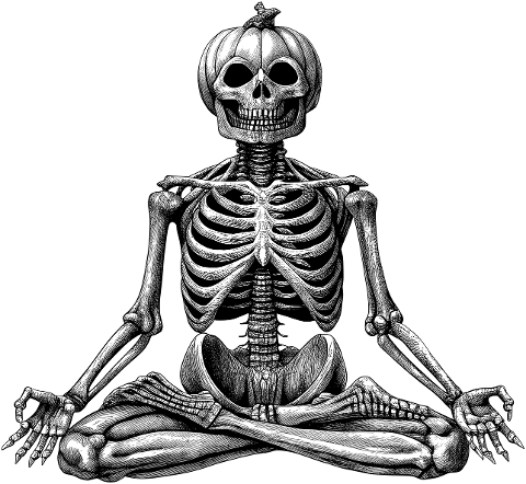 skeleton-meditation-yoga-bones-9804775