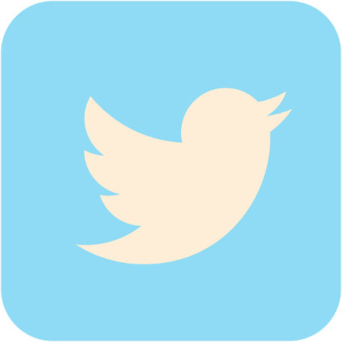 twitter-social-media-icon-social-2430933