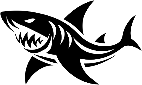 shark-animal-predator-aquatic-8726331