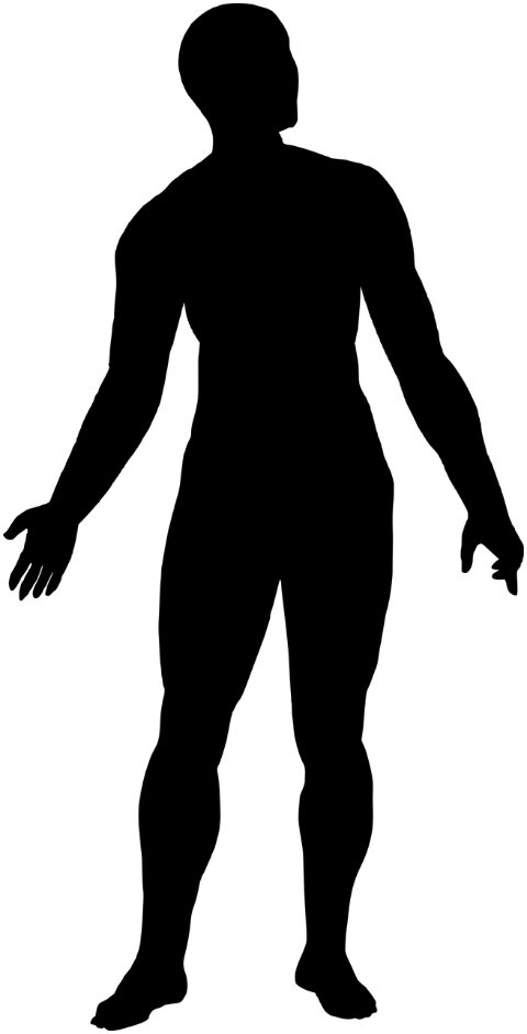 man-human-silhouette-people-person-8111188