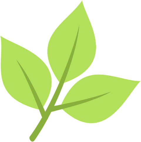 green-leaf-plant-nature-spring-9850202