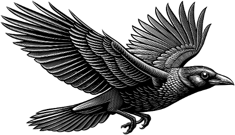 ai-generated-crow-bird-raven-9565750