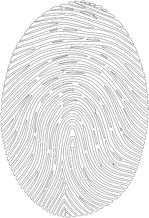 fingerprint-pattern-unique-id-9546035