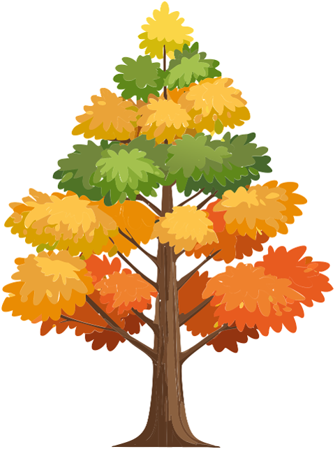 autumn-leaf-fall-tree-orange-9898301