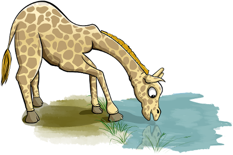 giraffe-water-drink-animal-mammal-7726372