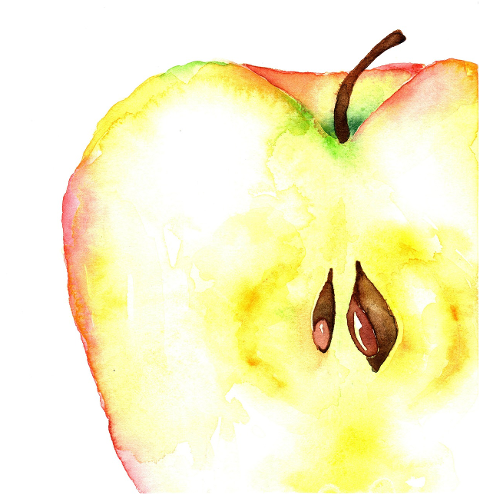 apple-fruit-watercolor-food-sliced-6052496