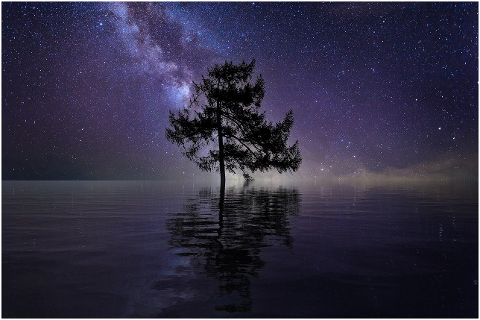 tree-stars-lake-water-single-tree-6057755