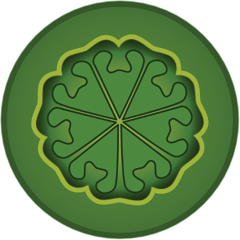 steiner-planetary-seals-9507278