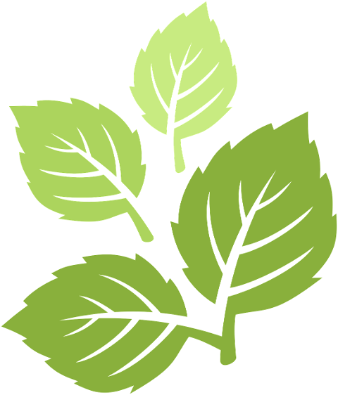 green-leaf-plant-nature-spring-9850203