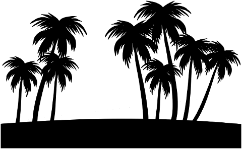 palm-tree-silhouette-coconut-black-4549612