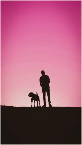 silhouette-man-dog-animal-puppy-4971621