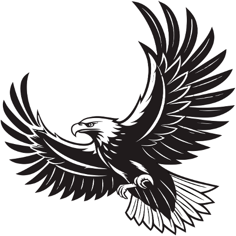 eagle-bird-predator-beak-plumage-9830143