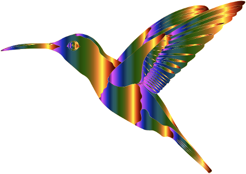 hummingbird-animal-bird-art-7038246