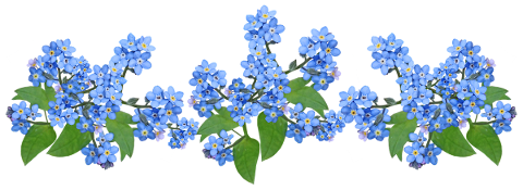 flowers-blue-forget-me-not-plants-4715577