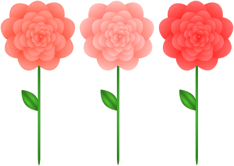flowers-petals-floral-pink-flower-7459994