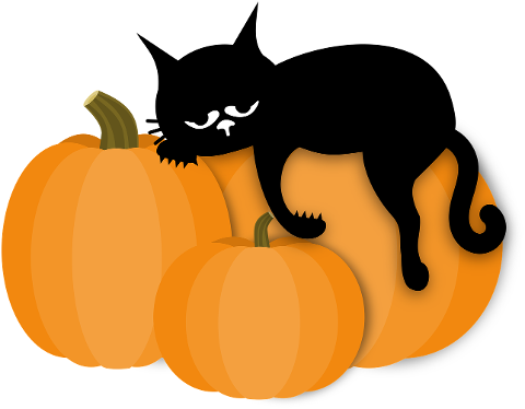 cat-pumpkin-sleep-cute-cartoon-10472548