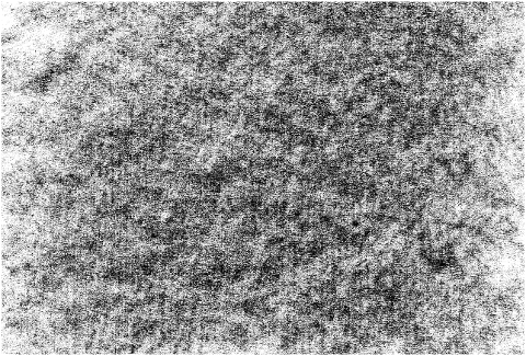 shade-pencil-scratch-hatching-9330020