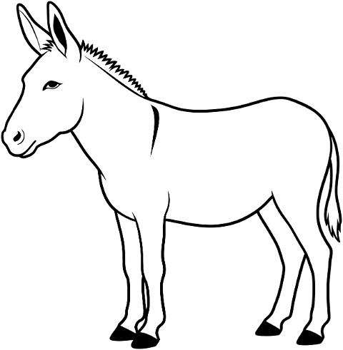 donkey-farm-animal-outline-cartoon-9925388
