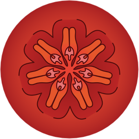 steiner-planetary-seals-9507275