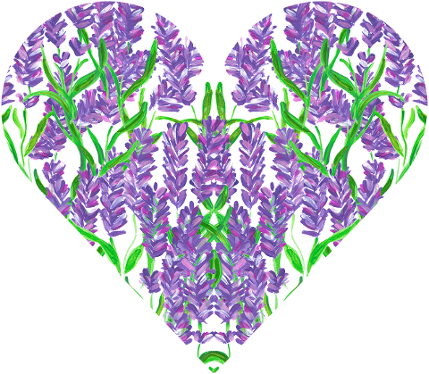 heart-love-lavender-watercolor-7679018