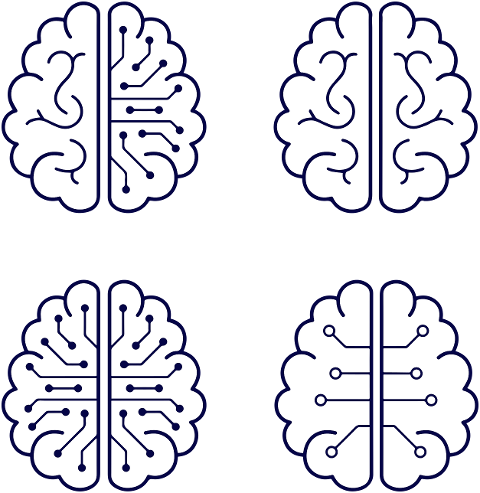 brain-network-psychology-think-6634378