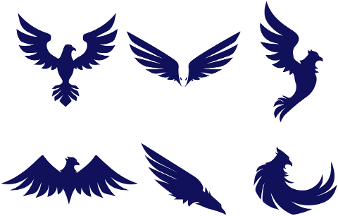 birds-logo-eagles-hawks-animal-6577859