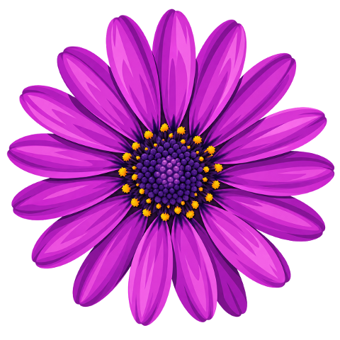 cape-daisy-purple-flower-10479760