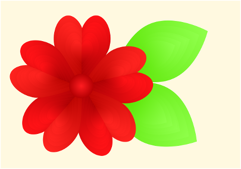 flower-red-flower-blossom-7296513