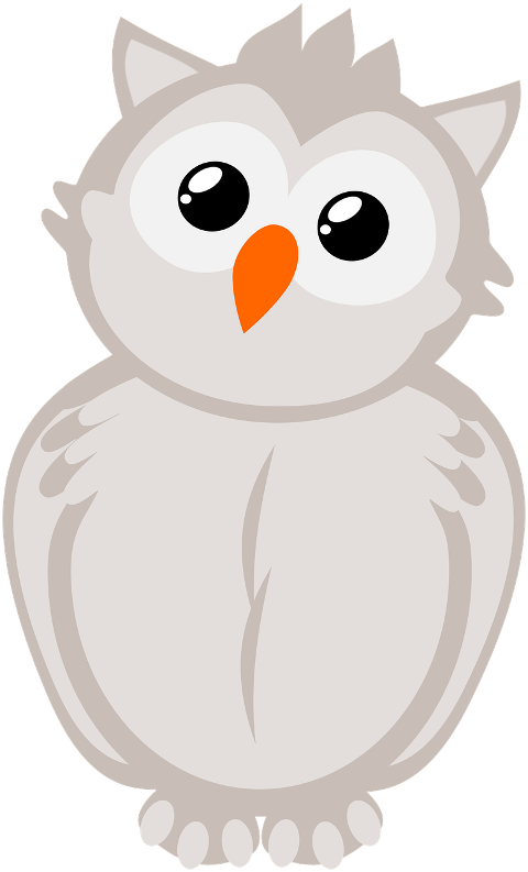 owl-bird-animal-bird-of-prey-6733740