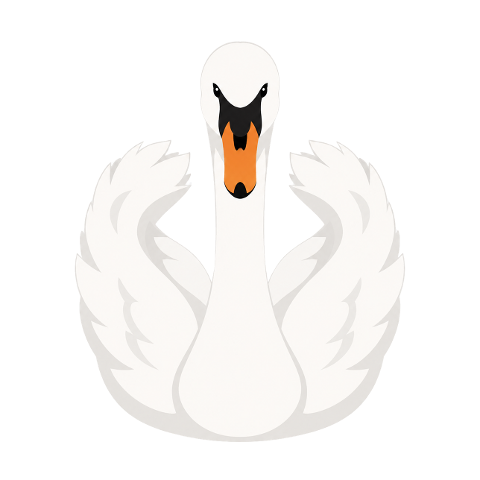 swan-white-front-view-raised-wings-10355046