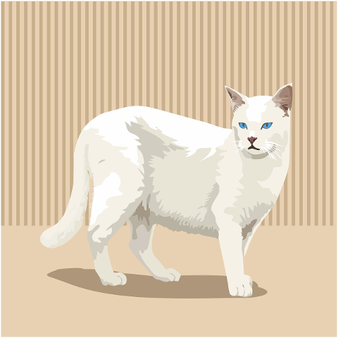 cat-blue-eyes-craft-white-feline-9953272