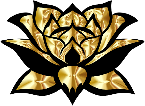 lotus-flower-gold-plant-petals-6548938