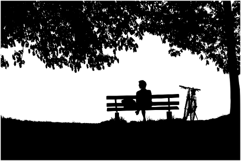 trees-man-silhouette-human-bicycle-6810517