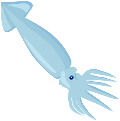 squid-underwater-marine-sea-ocean-6636824