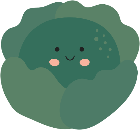 lettuce-salad-food-vegetables-9605615