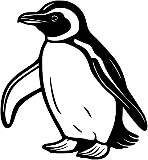 bird-penguin-ornithology-line-art-8691029