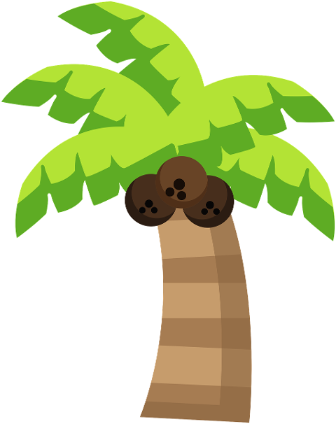 palm-tree-coconuts-tropical-nature-10121900