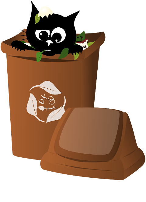 cat-kitten-black-cat-pet-animal-9534469