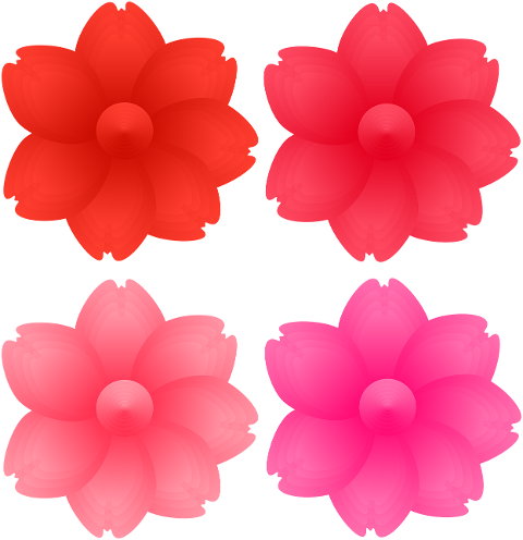 flowers-pink-flower-violet-flower-7391404