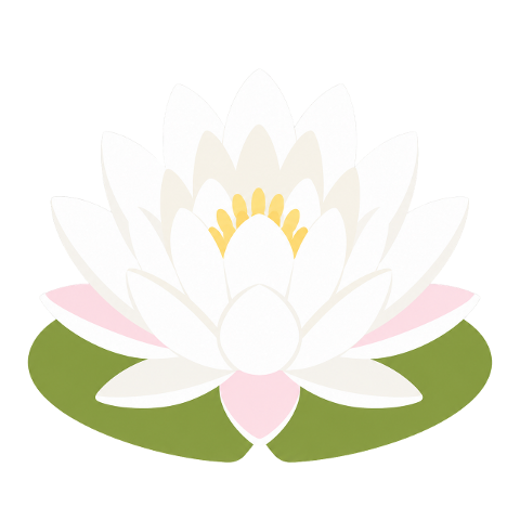 water-lily-white-water-lily-flower-10360645