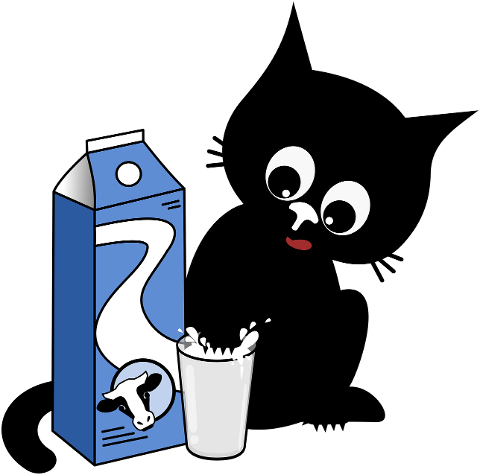 cat-kitten-black-cats-pet-animal-9775962