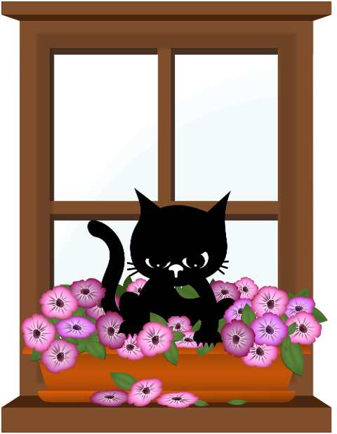 cat-kitten-black-cats-pet-animal-10053124