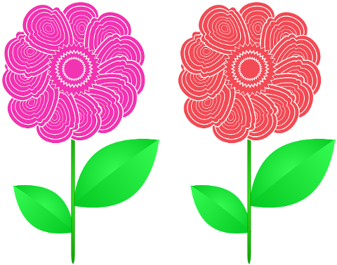 flowers-nature-to-flourish-plant-9844121