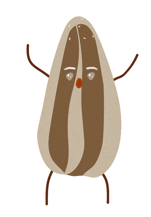 sunflower-seed-cartoon-character-10462856