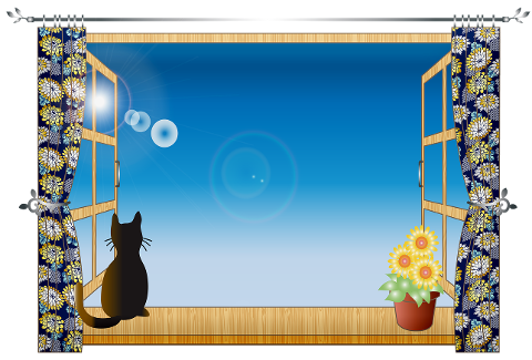 cat-window-windowsill-pet-6108955
