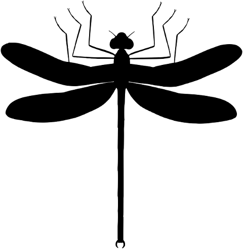 dragonfly-insect-bug-animal-7305440