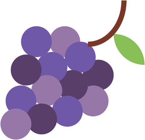 grapes-fruit-fresh-cutout-drawing-7684772