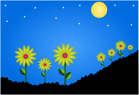 flower-field-star-night-sky-7350833