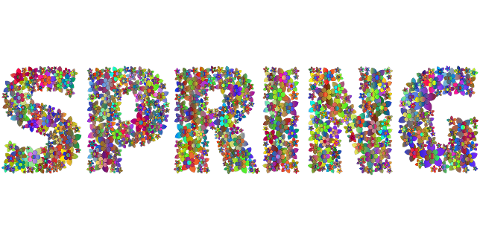 spring-flowers-typography-7136861