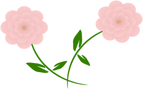 flower-pink-foilage-spring-summer-5158984